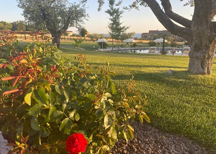 Ortaglia Farm stay Bardolino